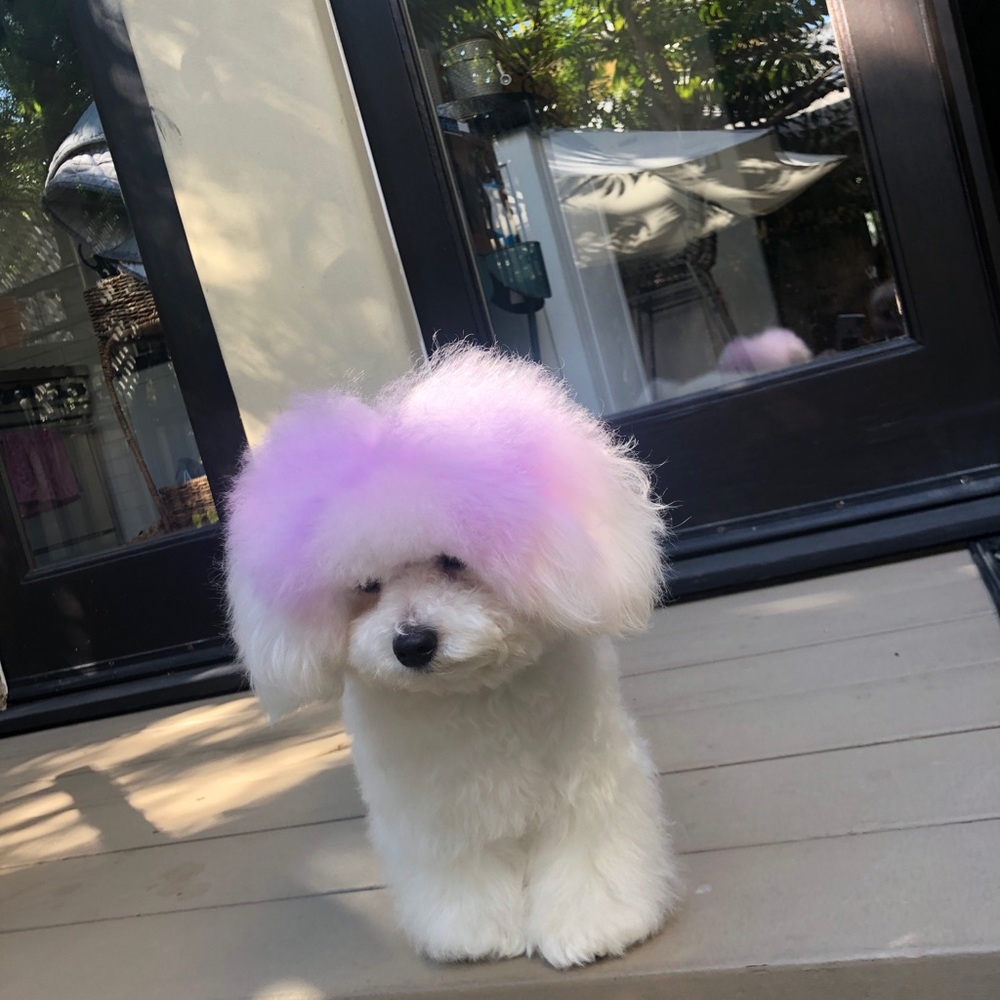 Meet your Posher, Mila